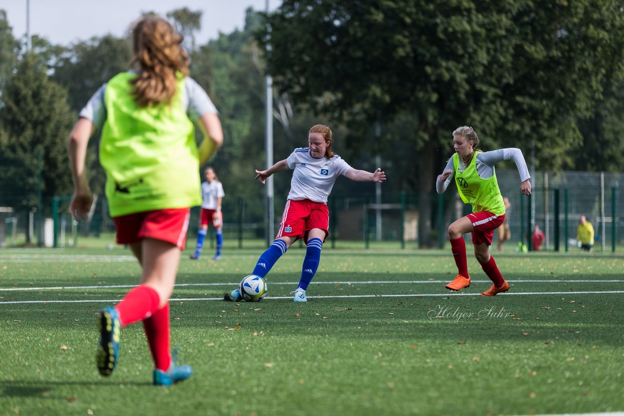 Bild 317 - C-Juniorinnen HSV - Walddoerfer : Ergebnis: 9:1